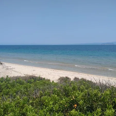 Mavros Gatos