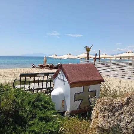 Mavros Gatos *